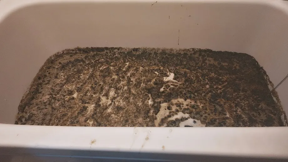 お風呂の配管洗浄