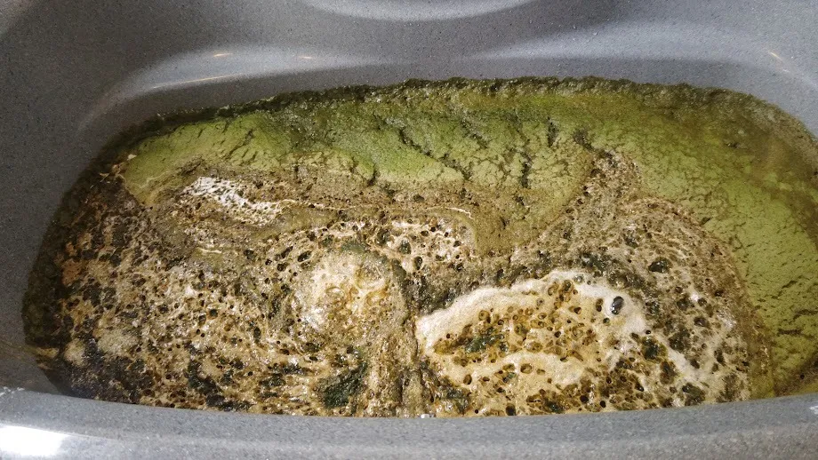 お風呂の配管洗浄