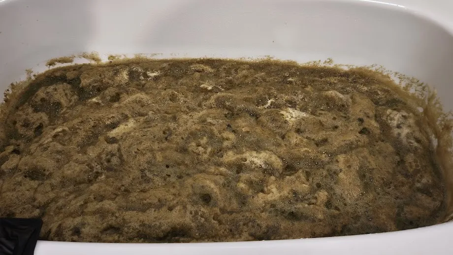 お風呂の配管洗浄